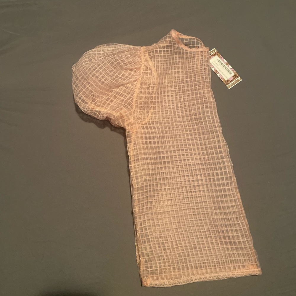 Trendy Puff-Sleeve Organza Sheer Top - Picture 4 of 4